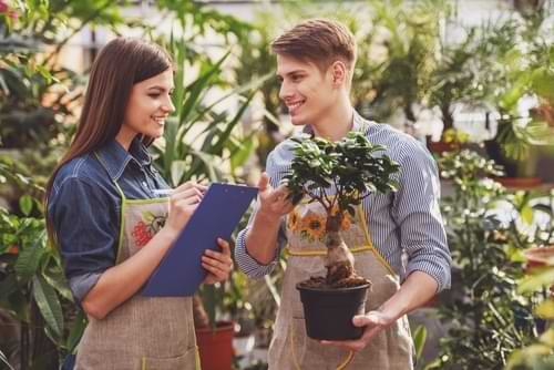 Two young handsome florists working at flowers shop.